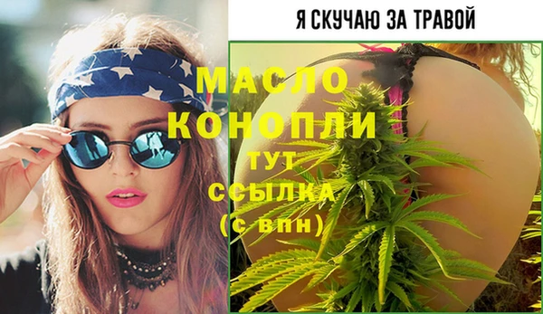 спиды Горняк