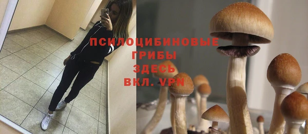 эйфоретик Горно-Алтайск