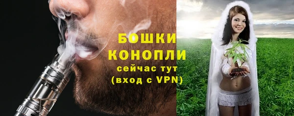 спиды Горняк