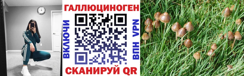 даркнет сайт  Улан-Удэ  Псилоцибиновые грибы MAGIC MUSHROOMS 